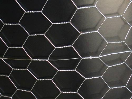 Hexagonal Wire Netting