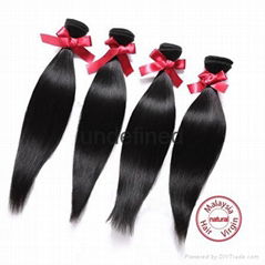 Evet Extensions 5A Grade Brazilian Unprocessed Remy Hair