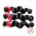 Evet Extensions 5A Grade Brazilian Unprocessed Remy Hair 2