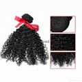 Evet Kinky Curly Brazilian Virgin Hair Weave 100% Human Hair 1