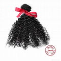 Evet Kinky Curly Brazilian Virgin Hair Weave 100% Human Hair 3