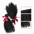 Evet Kinky Curly Brazilian Virgin Hair Weave 100% Human Hair 2