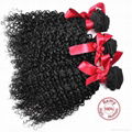 Evet Kinky Curly Brazilian Virgin Hair Weave 100% Human Hair 5