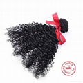 Evet Kinky Curly Brazilian Virgin Hair Weave 100% Human Hair 4