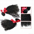 Evet Kinky Curly Natural Weaves Virgin Malaysian Hair 1