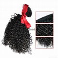 Evet Kinky Curly Natural Weaves Virgin Malaysian Hair 2