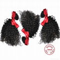 Evet Kinky Curly Natural Weaves Virgin Malaysian Hair 3