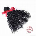 Evet Kinky Curly Natural Weaves Virgin Malaysian Hair 4