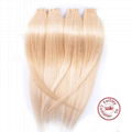 Evet Brazilian Virgin Hair Silky Straight Extensions Human Hair