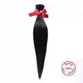 EVET Brazilian Virgin Hair Silky Straight Extensions 1