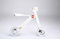 Innovative Light-weight 18KG New Electric Bicycle 2