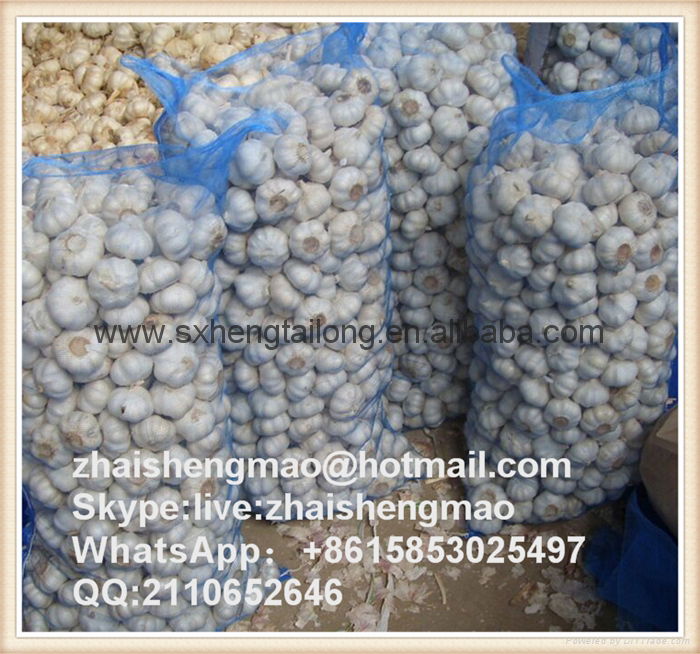 All size pe mesh bags for packing garlic 