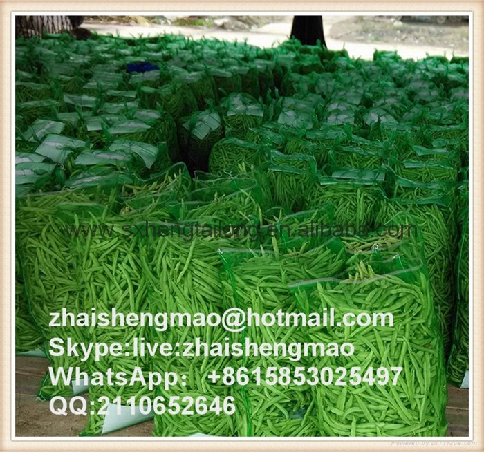 All size pe mesh bags for packing garlic  5