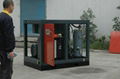 Professional Small Rotary Screw Air Compressor with Tank 37KW 50HP for Machinery