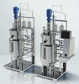 PILOT SCALE FERMENTER (PI Series)