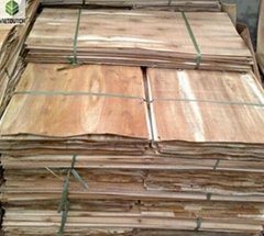 Acacia core veneer from Vietnam