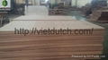 Plywood, commercial plywood