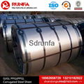 Color Coated Steel Coil