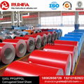 Color Coated Steel Coil 5