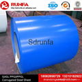 Prepainted Galvanized Steel Coil 5