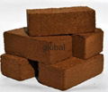 Cocopeat 1