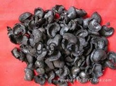 cashew extract shell