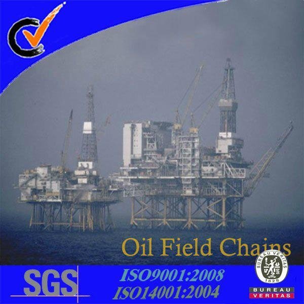 API Approved Oilfield Chain