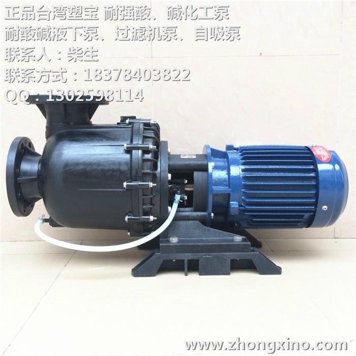 供塑宝耐腐蚀化工泵SDP-50052EBH-SSH 2