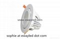 40W private mould led gimbal downlight 3
