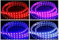 high quality 5050 RGB/SINGLED flexible led strip 