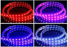 high quality 5050 RGB/SINGLED flexible led strip 