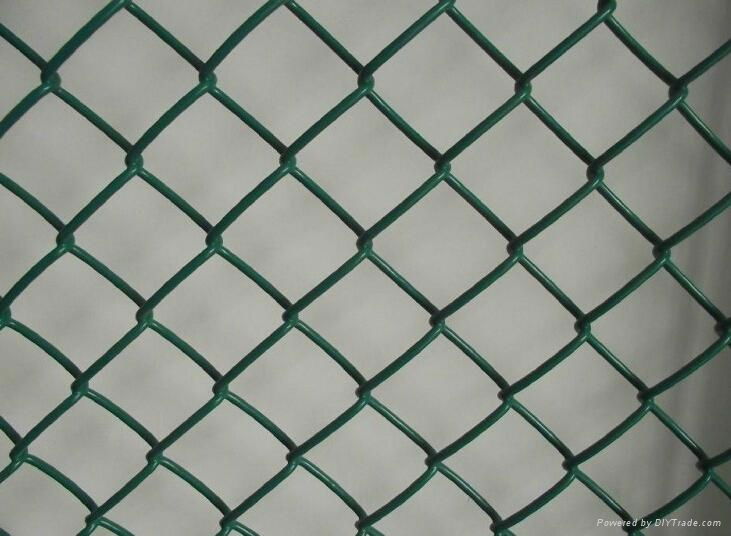 chain link fence 2