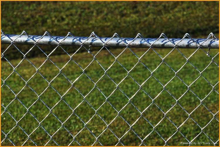 chain link fence 5