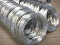 galvanized iron wire 1