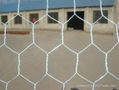 Hexagonal wire netting 1