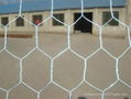 Hexagonal wire netting