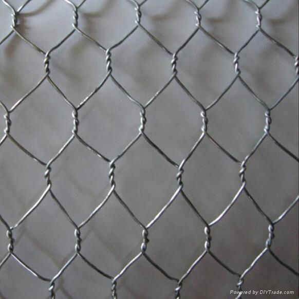 Hexagonal wire netting 2