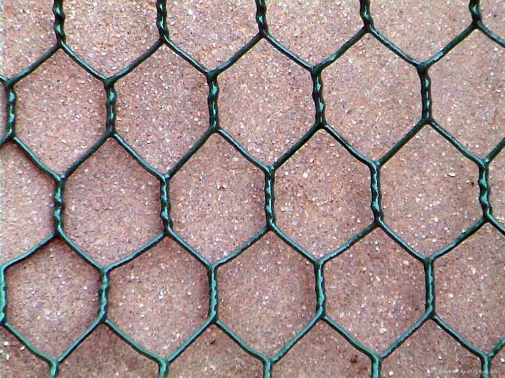 Hexagonal wire netting 3