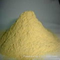 animal feed yeast/feed yeast/brewer yeast protein from Chinese supplier