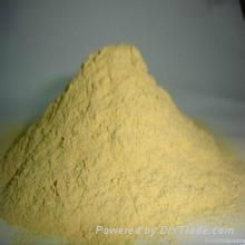 animal feed yeast/feed yeast/brewer yeast protein from Chinese supplier