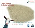 Best price Lysine HCL 98.5% for poutry feed and animal feed 2