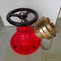 fire hydrant landing valve 1