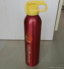mini car fire extinguisher