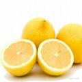 High-quality Chinese Eureka fresh lemon 1