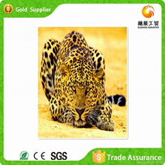 Wild animal diamond oil painting on canvas wall art