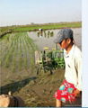 Manual rice paddy transplanter machine for sale 4