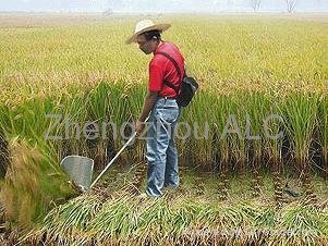 2018 hot selling rice wheat harvester mini harvester 3