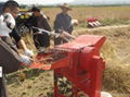 Rice thresher machine rice paddy sheller machine