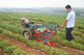 combine potato harvester hand tractor sweet potato harvester