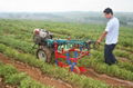 Agriculture machinery  potato harvester machine for sale